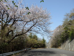 瀬戸内倉橋島の旅〜Ⅱ