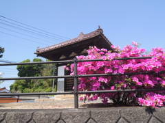堂門沙毘