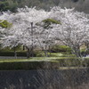 DSC00795
