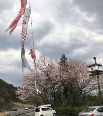 いろり山賊 周東店2019'