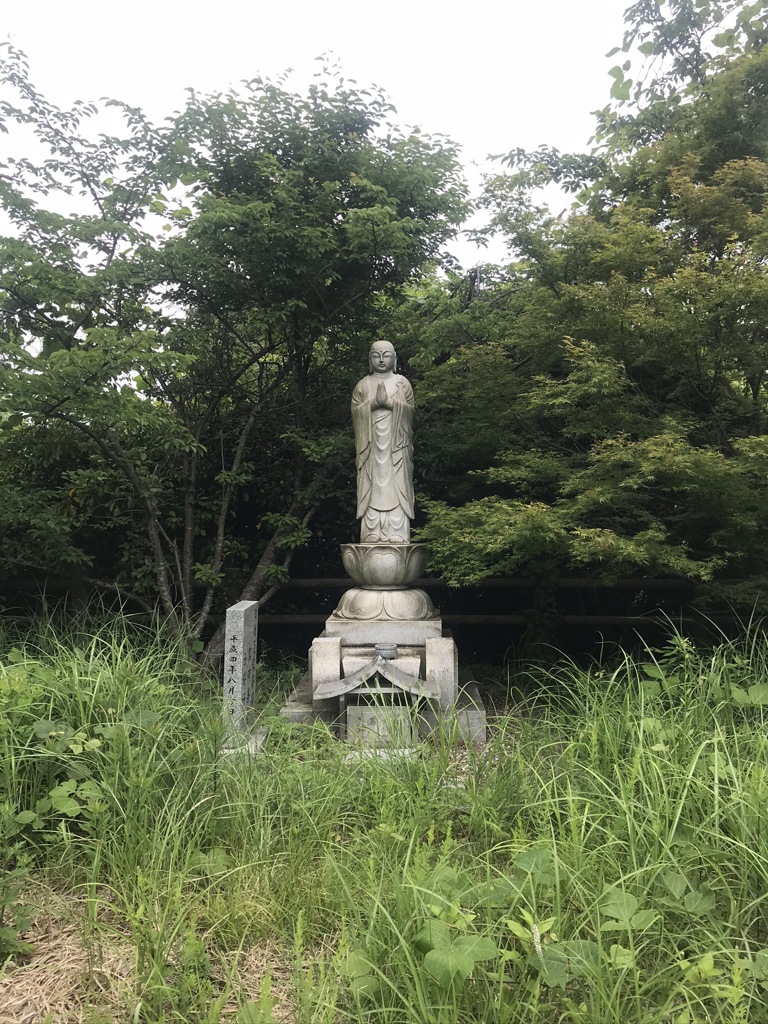 空海展望台2019'