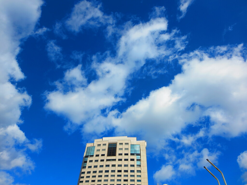 夏の大三角形