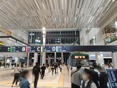 99番ホームの列車は惑星ラーメタル行となっております。