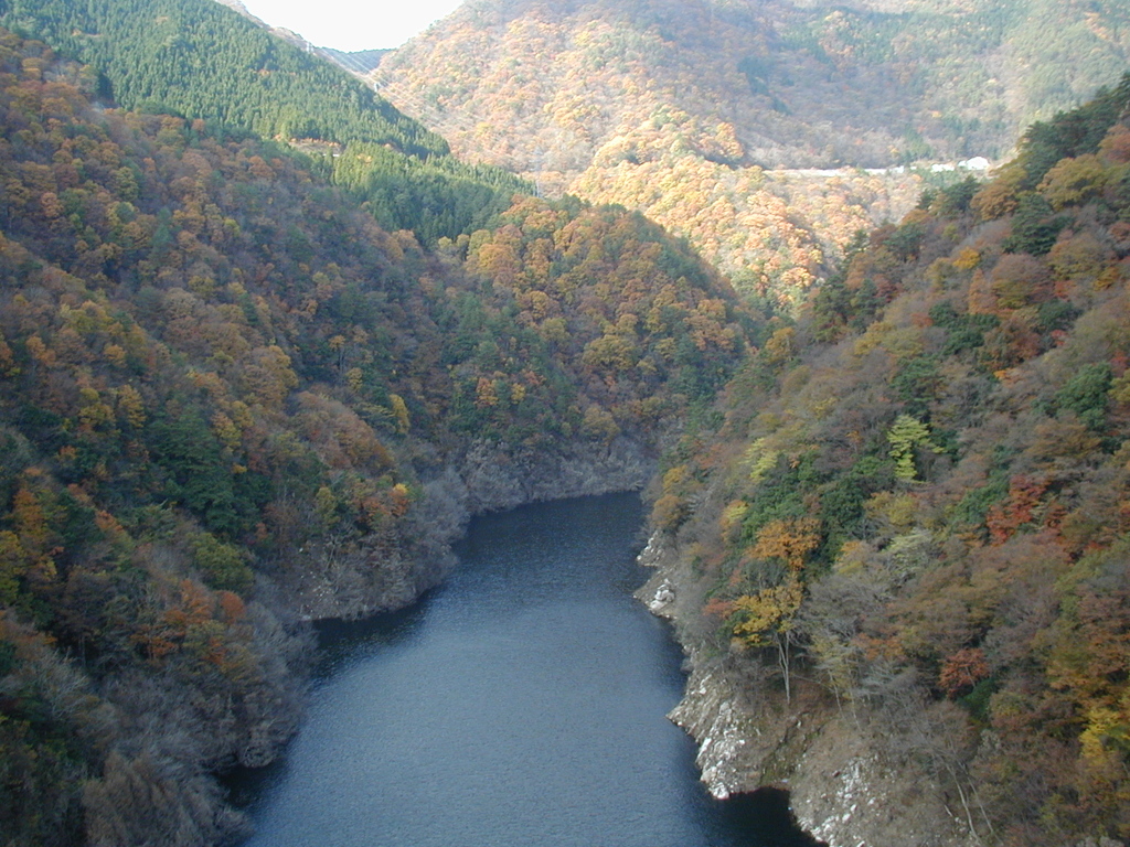 思い出の匹見峡