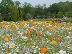 備北丘陵公園