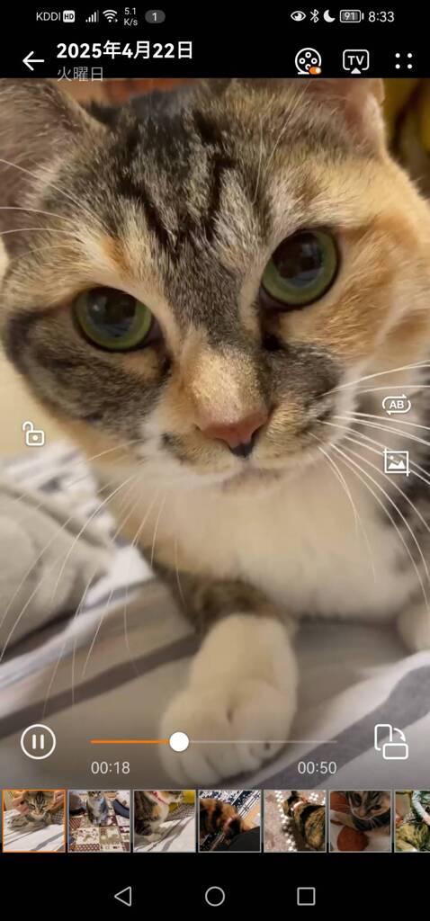 ミーくん