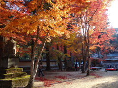 仏通寺の想い出2012Ⅱ
