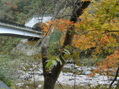 思い出の匹見峡Ⅱ