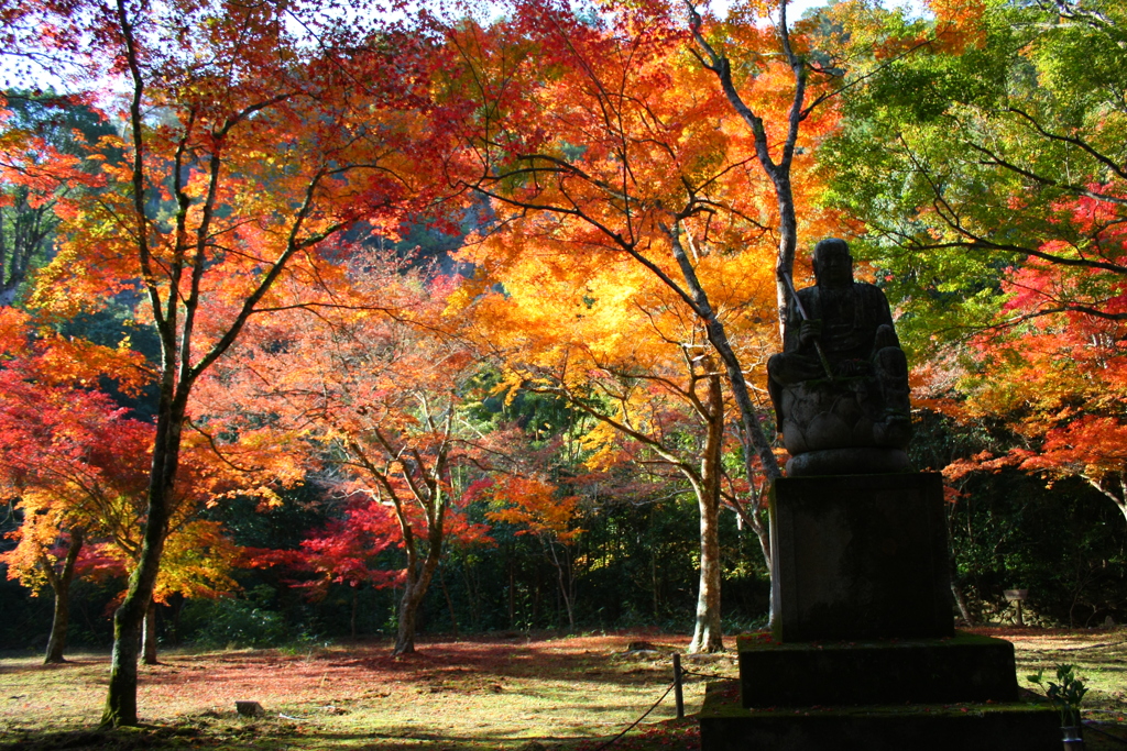 紅葉回想2018Ⅲ