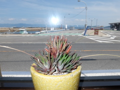 フェリー乗り場