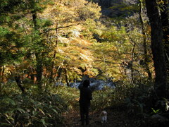 思い出の匹見峡Ⅴ