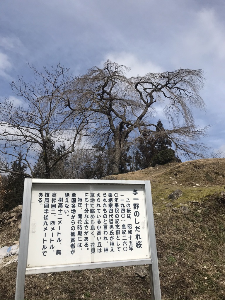 2020'さくら開花前