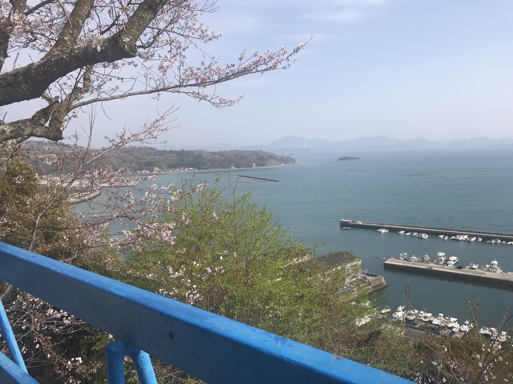 安芸津町正福寺山公園2019年