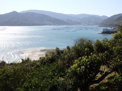 島巡り〜1
