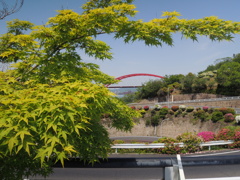 紅葉狩り