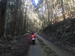 秋山ですね。It was four years ago