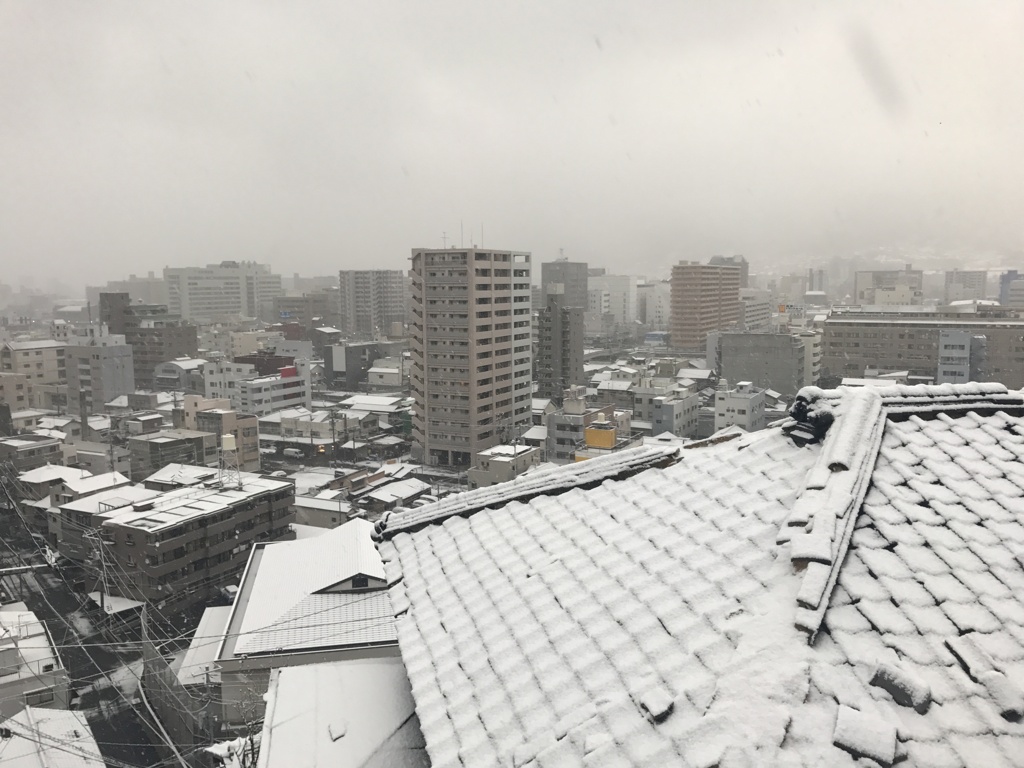 白い恋人
