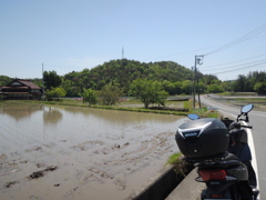 のどか