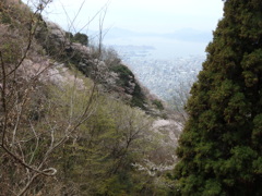 山桜見物-2