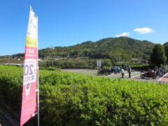 道の駅　連休中日
