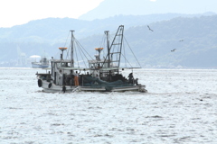 捕れましたか？