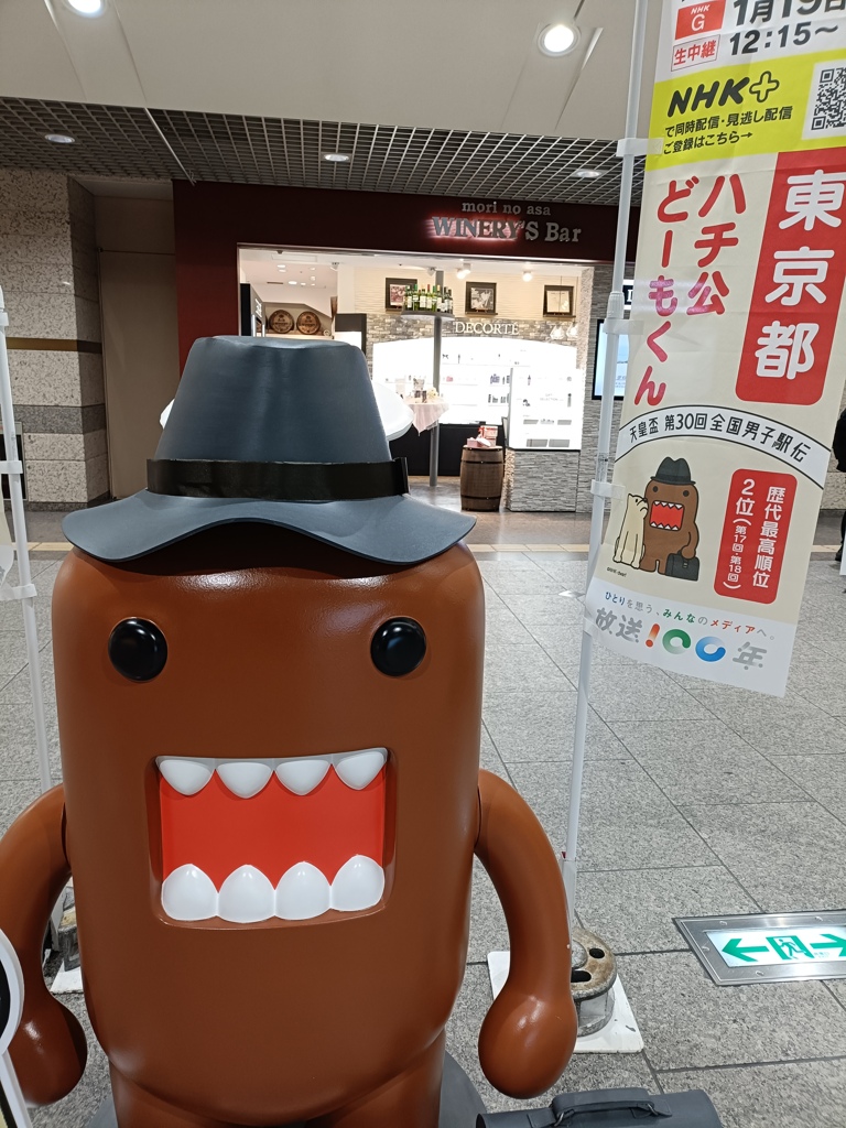 東京都代表