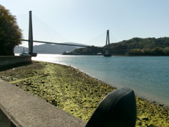 島巡り〜2