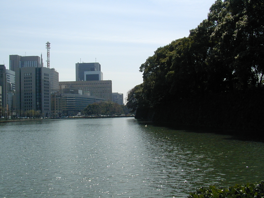 東京見物