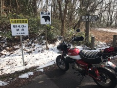 龍頭山2020年-Ⅱ
