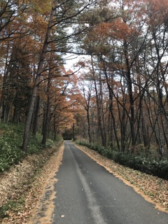 思い出の北広島の秋