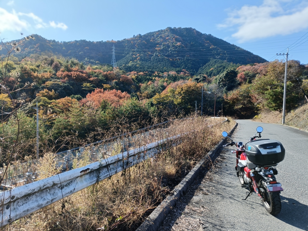秋を探しに