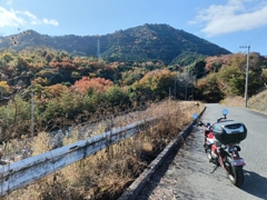 秋を探しに