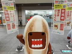 どーも〜