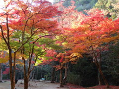 秋深し2