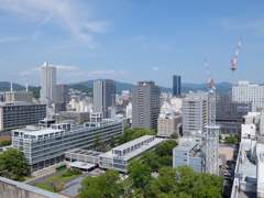 初夏