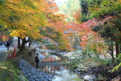 紅葉回想2018Ⅳ