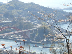 瀬戸の花よね2025'-1
