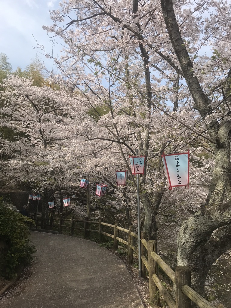 安芸津町正福寺山公園2019年