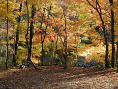 思い出の匹見峡Ⅵ
