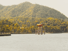 鳥居は秋色