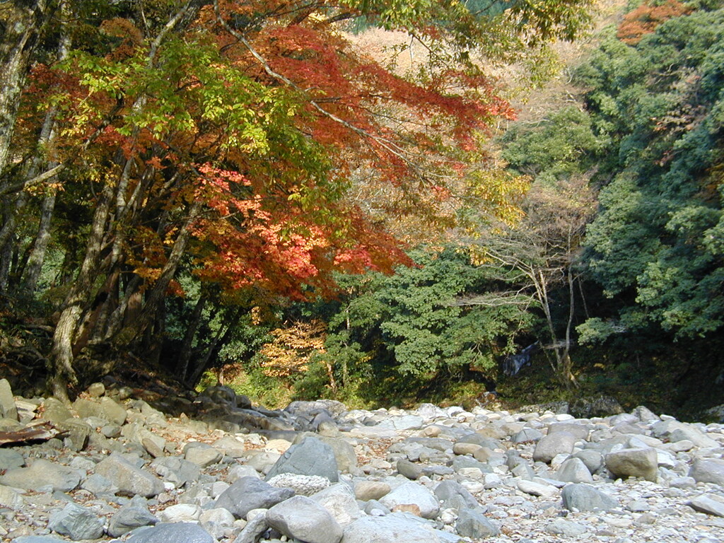 思い出の匹見峡Ⅳ