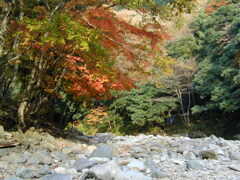 思い出の匹見峡Ⅳ