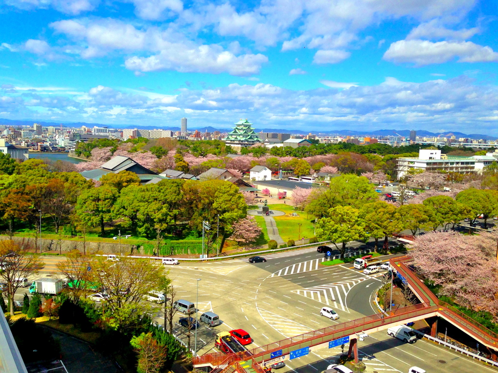 名古屋城の春