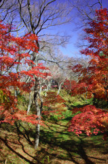 高遠城址公園にて（１）