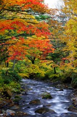 奈良井川源流にて(3)