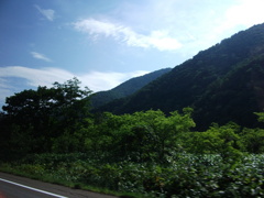山と
