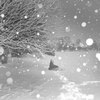 春と雪