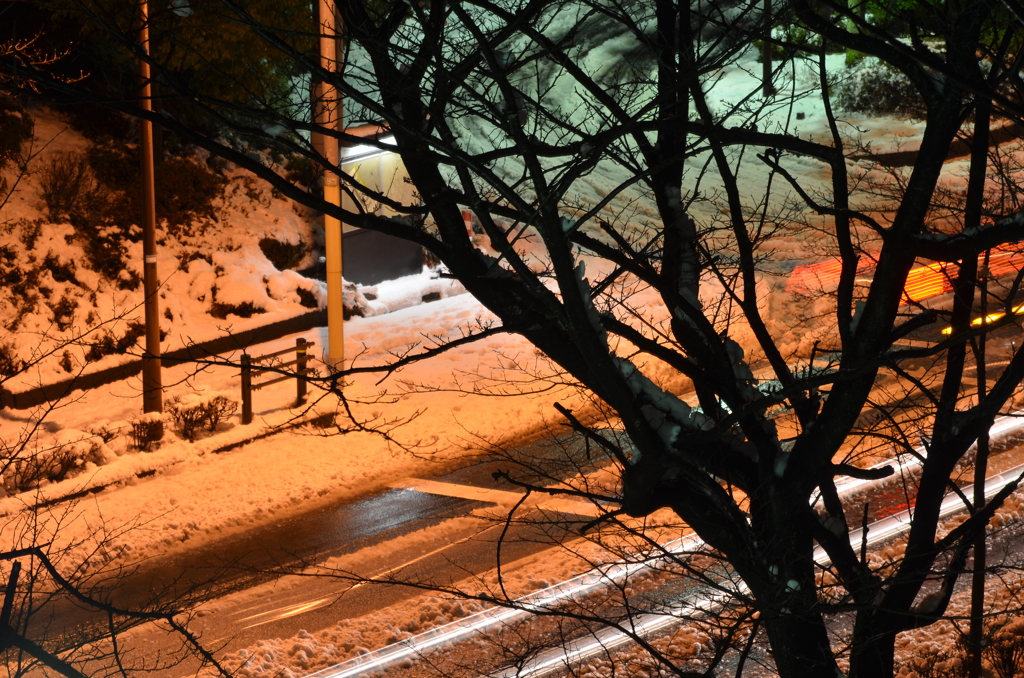 雪の降った夜の風景