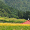 会津・田んぼのなかのお堂