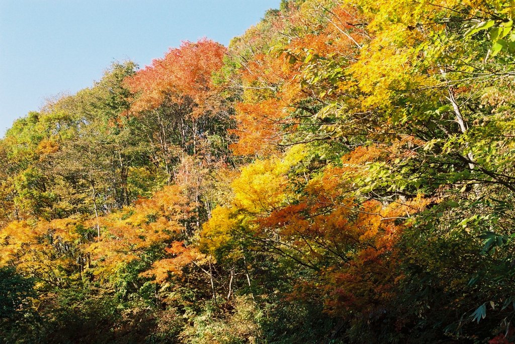 福島県　昭和村の秋景色